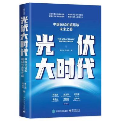 Chinese Solar PV Industry Rise - Renewable Energy Books のレビューと価格